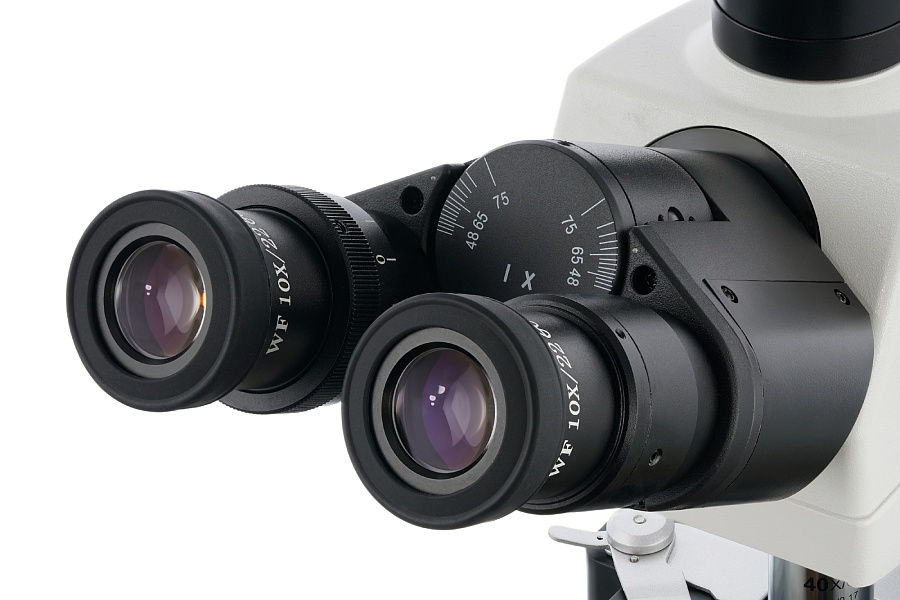 Цифровой тринокулярный микроскоп Levenhuk MED D40T LCD
